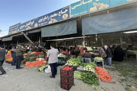 آغاز طرح تشدید نظارت بر بازار میوه و مواد غذایی در عمده&zwnj;فروشی&zwnj;های مشهد + فیلم