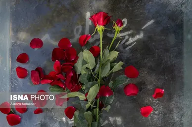 عکس‌هایی از حضور جمعی از سینماگران در قطعه هنرمندان