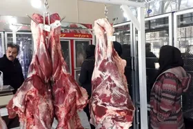 تأمین، واردات و توزیع دام و گوشت در کشور بدون مشکل در جریان است