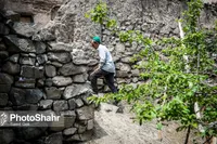 نخستین خانه «همیار طبیعت» روستایی کشور در دیزباد افتتاح شد