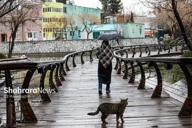 گزارش تصویری | حال و هوای بارانی مشهد | یکشنبه ۱۹ اسفند ۱۴۰۳