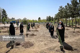 &laquo;گلستان میناب&raquo; در بوستان جهان&zwnj;شهر مشهد | مراسم درخت&zwnj;کاری به یاد شهدای میناب