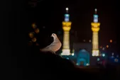 ۳۵ سال پیوستگی شعر آیینی در حرم مطهر امام رضا(ع)