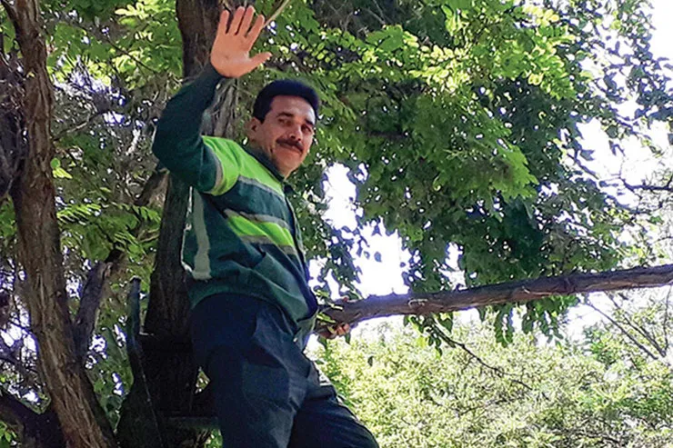 رنج سرسبزی