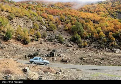 ایران زیباست؛ طبیعت پاییزی - گیلان