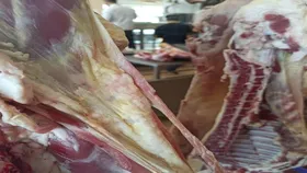ماجرای توزیع گوشت های فاسد در مشهد + عکس و فیلم