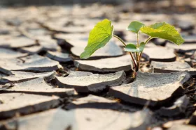 رفع تنش آبی در طرح محرومیت&zwnj;زدایی خواف