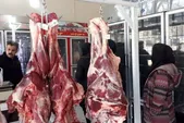 تأمین، واردات و توزیع دام و گوشت در کشور بدون مشکل در جریان است
