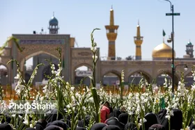 امشب بزرگترین جشن خانوادگی امام رضایی در مشهد برگزار می&zwnj;شود