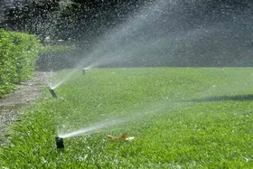 شهروندخبرنگار | آبیاری فضای سبز در فکوری ۶۸ + پاسخ شهرداری