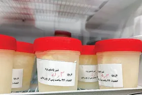 روایتی از کارکرد بانک شیر که هنوز خیلی&zwnj;ها از وجودش بی&zwnj;خبرند