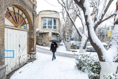 گزارش تصویری | برف در تبریز