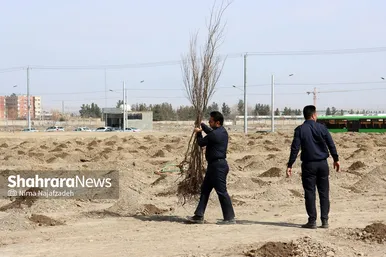 مراسم روز درختکاری در مشهد
