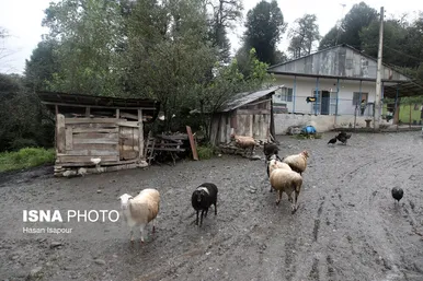 ایران زیباست | خانه‌های قدیمی سنتی در سوادکوه مازندران