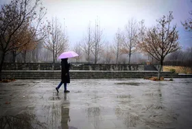 آماده&zwnj;باش هلال احمر برای بارش شدید باران و وزش باد در ۲۳ استان (۱۶ اسفندماه ۱۴۰۱)