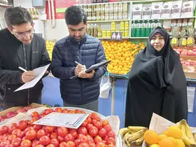 گشت&zwnj;های مشترک بازرسی جهاد کشاورزی از بازار یلدا ۱۴۰۳