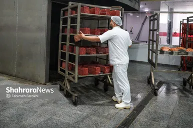گزارش تصویری | بازدید خبرنگاران از یک مرکز فرآوری گوشت در مشهد