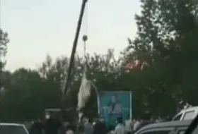 ویدئو | آویزان کردن گاو از جرثقیل برای قربانی کردن توسط کاندیدای انتخابات