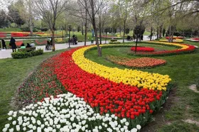 گل&zwnj;کاری در ۱۷ هکتار از باغچه&zwnj;های شهر مشهد برای استقبال از بهار ۱۴۰۵