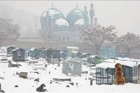 پیش&zwnj;بینی بارندگی در ۱۳ استان افغانستان (۱۷ دی ماه ۱۴۰۲)