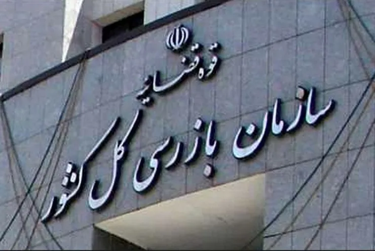 پیگیری سازمان بازرسی، ۹۲ هزار خانواده را صاحب یارانه کرد
