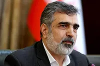 سخنگوی سازمان انرژی اتمی: اقدام سیاسی در ممناعت از حضور اسلامی در وین برای همه کشورها خطرناک است