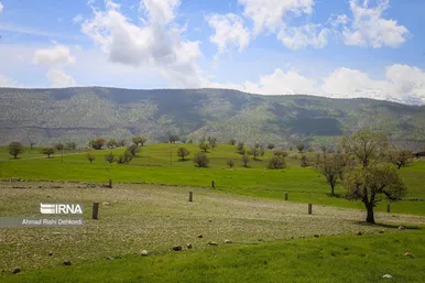 نوروزگردی | دهکده زراس