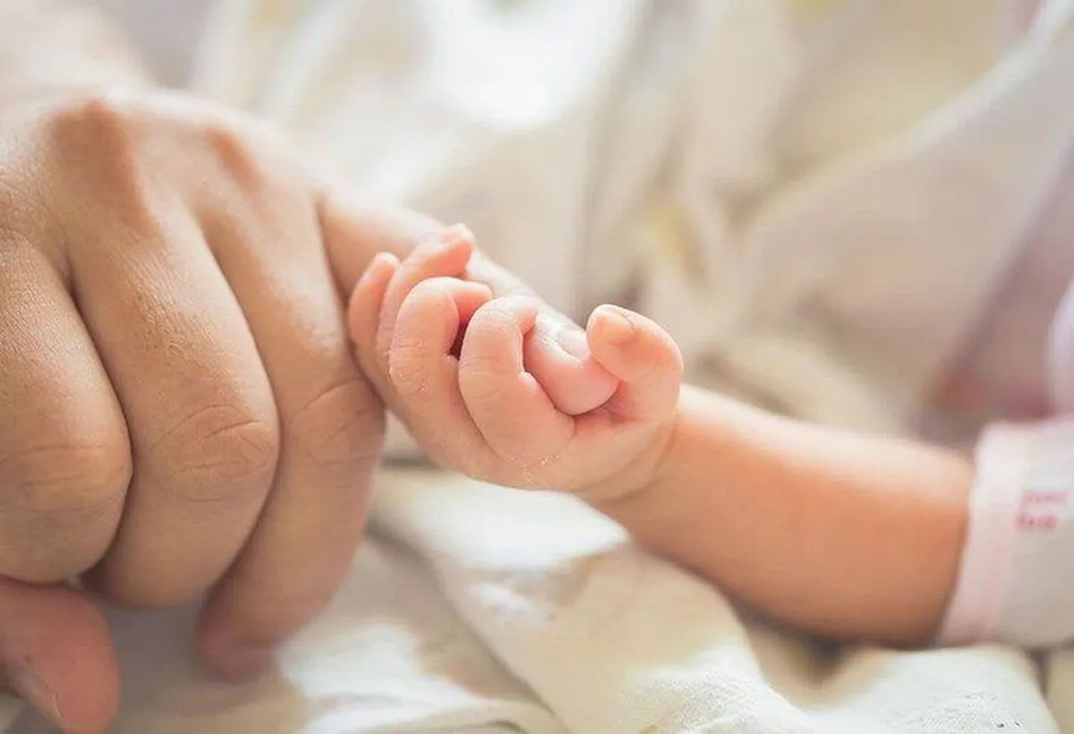 ثبت ۷۰۳ واقعه ولادت از ابتدای سال ۱۴۰۴ تاکنون در تایباد