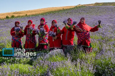 ایران زیباست | مزرعه گردشگری «سبزینه»
