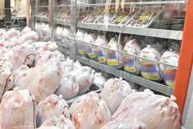 صادرات گوشت مرغ از مرز ۱۸ هزار تن گذشت