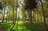 هم افزایی و مدیریت یکپارچه در زمینه محیط‌زیست در مشهد الگویی برای شهر‌های کشور است