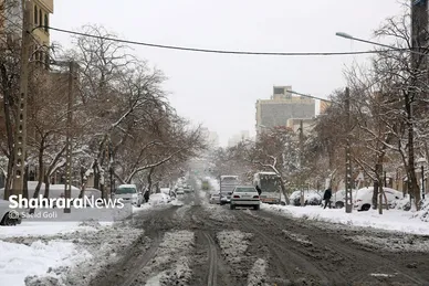 گزارش تصویری | بارش برف در مشهد