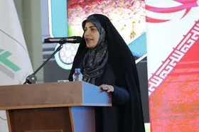 رفسنجان، میزبان نخستین کارخانه آلودگی&zwnj;زدایی از خشکبار مبتنی بر فناوری پلاسما