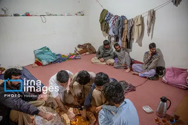 گزارش تصویری | باغ پسته «زرندیه»