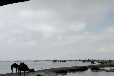 عکس‌هایی از سیل سیستان و بلوچستان