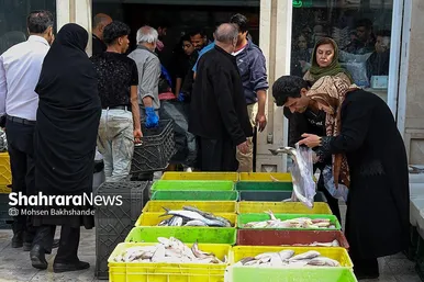 بازار ماهی فروشان شهرک عرب‌های مشهد
