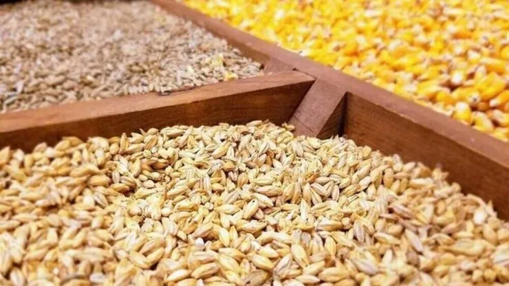 خروج نهاده‌های دامی از بنادر با مجوز وزارت جهاد کشاورزی است