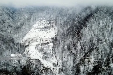 گلستان در زمستان