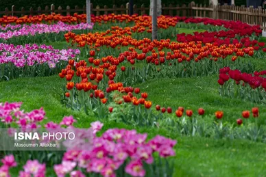 ایران زیباست | یازدهمین جشنواره لاله‌های کرج