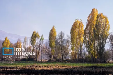 ایران زیباست | طبیعت پاییزی الشتر