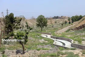 گلایه ساکنان محله اسماعیل&zwnj;آباد مشهد از روند کند اجرای پروژه فضای سبز این محدوده | پاییز، کال سرسبز می&zwnj;شود