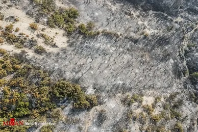 آتش سوزی منطقه حفاظت شده جهان نمای  گلستان