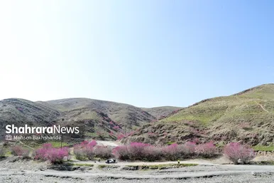 ایران زیباست | «ارغوان» پنجه‌ی خونین زمین