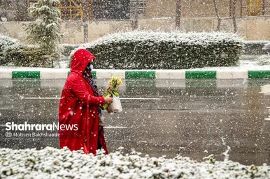 بارش اولین برف پاییزی در حرم مطهر رضوی