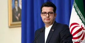 موسوی: رفتار غیرقانونی مرزبانی آمریکا با ایرانیان نقض فاحش حقوق&zwnj;بشر است