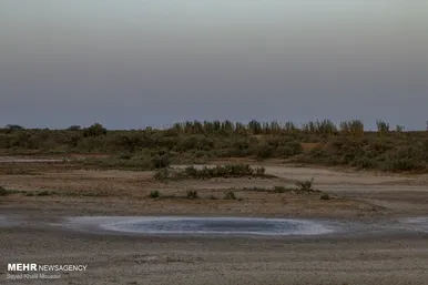 مرگ هورالعظیم