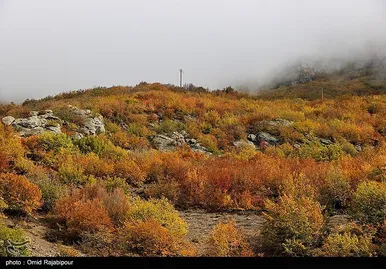 ایران زیباست؛ طبیعت پاییزی - گیلان