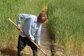 اعلام زمان وایز عیدی مستمری&zwnj;بگیران صندوق بیمه روستاییان و عشایر