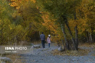طبیعت پاییزی شهرستان سامان