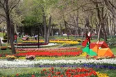 افزایش بیش از دوبرابری بوستان‌های سبز مشهد تا پایان سال ۱۴۰۳